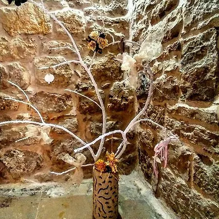 Rubini's House Guest house